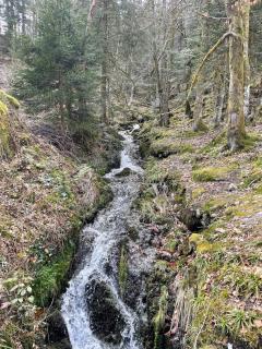 Le chalet de Wilma - Ventron - 2