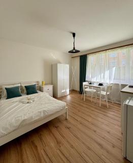 Cozy & Central - New Room in Basel, Gundeli - Basel - 9