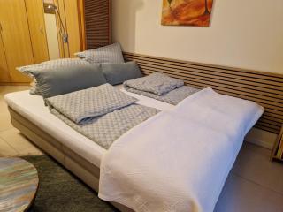 Lovely Souterrain Apartment - Solingen - 3