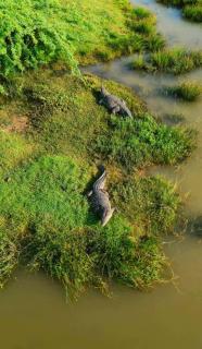 New Cormorant Lake Resort & Yala Safari Place - Tissamaharama - 9