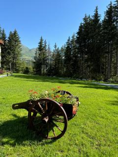 Grande Maison Du Coeur Champoluc Spa,Gym e Aree Relax - Champoluc - 3