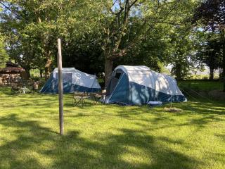Pop-Up camping close to festival - Ganzendrieshoeve - Rumst - 8