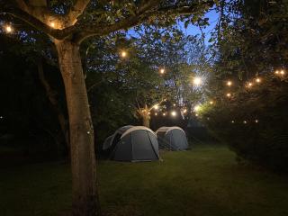 Pop-Up camping close to festival - Ganzendrieshoeve - Rumst - 7
