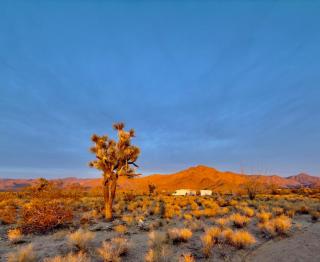 Joshua Tree Tiny Home - Yucca - 1