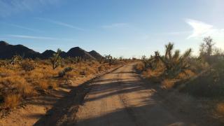 Joshua Tree Tiny Home - Yucca - 7