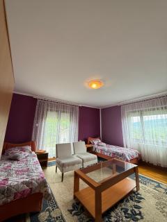 Smeštaj Karadžić - Vila Vuk - Priboj - 6