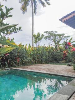 Nyoman Sandat House 1 - Ubud - 7