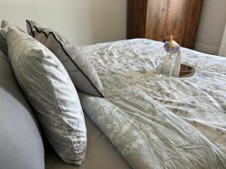 Town guest house - 2