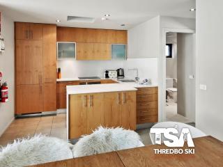 Snowstream 8 - Thredbo - 6