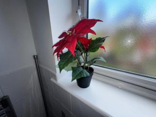 BLUE HAVEN - Manchester - 3