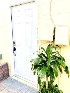 Suite in Citrus Park Tampa - 5