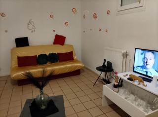 charmante résidence Studio T1 entier tout confort - Souppes-sur-Loing - 4