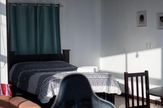 Eucalyptus Studio - - 4