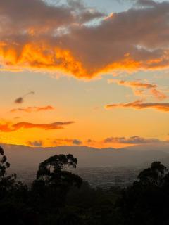 Eucalyptus Studio - - 1