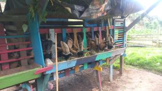 Duitama Country Lodging - - 0
