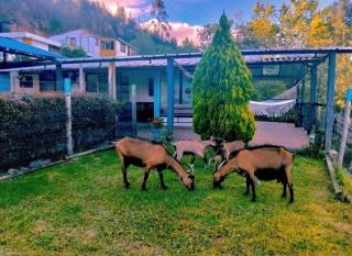 Duitama Country Lodging - - 8