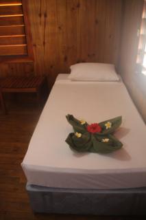 Mana Backpacker and Dive Resort - 8