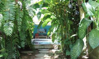 Orchid House - Blahbatu - 9
