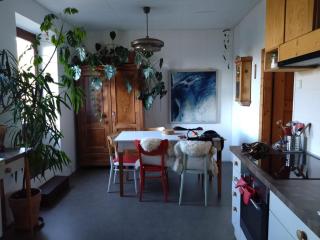 Charming Workers Cottage Jachymov - Jáchymov - 6