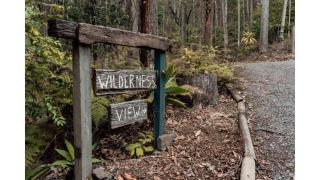 Wilderness View by Tiny Away - Mooloolah - 9