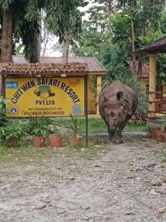 Chitwan Safari Resort - Sauraha - 0