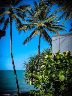 Seaview Studio - Newell Beach - 2