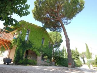 Farmhouse in Marsciano with vineyards olive groves - Marsciano - 2