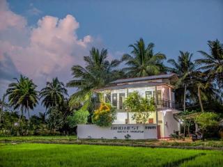 Bird Nest Yala Safari Guest House - Tissamaharama - 0