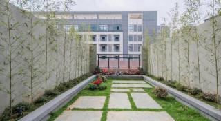 Borrman Hotel Chongzuo Guangxi Normal University for Nationalities - 8