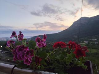 Holiday home N&S - Bar - 4