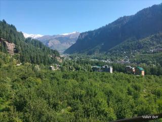 Wander Nest Manali Luxurious rooms with mountain peaks and waterfall view - 7