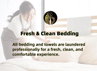 Spacious CBD Studio with AC and Skyline Window Views - Auckland - 7