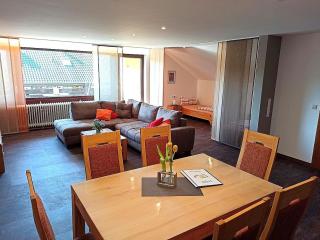 FeWo Panorama - Gundelsheim - 2