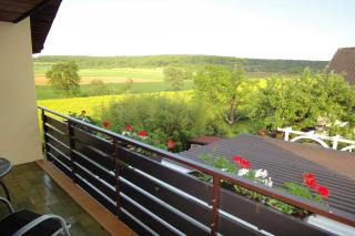 FeWo Panorama - Gundelsheim - 8