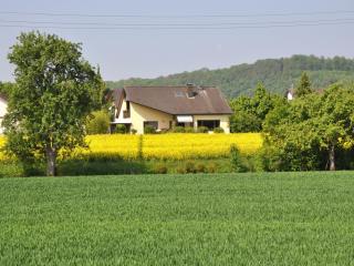 FeWo Panorama - Gundelsheim - 7