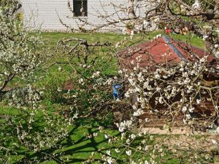 FeWo Panorama - Gundelsheim - 0