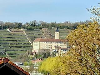 FeWo Panorama - Gundelsheim - 9