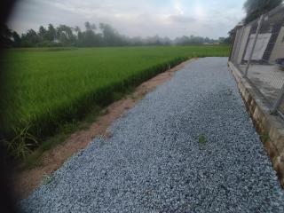 D'Sawah Guesthouse Homestay - - 5
