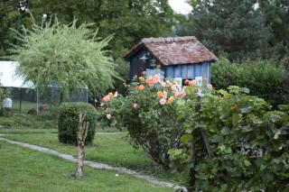 Maison familiale pour 9 personnes - Verdon - 5