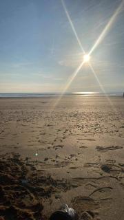 Studio en bord de mer, tous commerces animations - 6