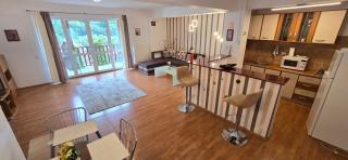 Sinaia Alex Apartments - 7