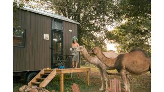 Fig Tree Cottage by Tiny Away - Darlington - 0