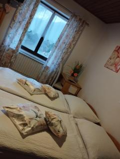 Guest House Kmečki Hram FORTUNA - Idrija - 7