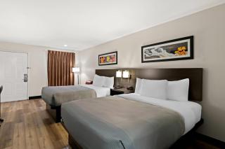 Quality Inn & Suites - Dumas - 4