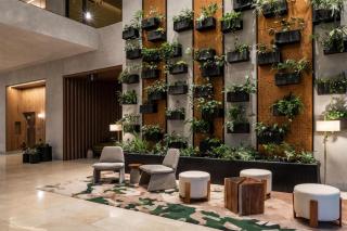 Hyatt Centric San José Escazú - 2
