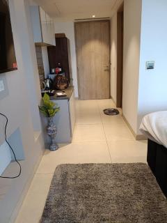 Antique apartment - Gurgaon - 4
