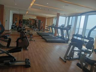 Antique apartment - Gurgaon - 3