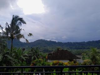 Anantalla Homestay - Sidemen - 1