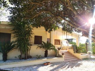 Villetta Vacanza - Carovigno - 9