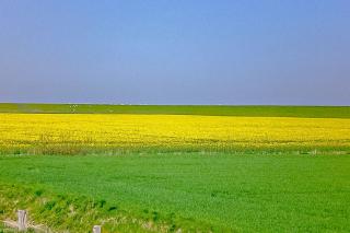 Ferienhaus Fischerkate am Deich - 9